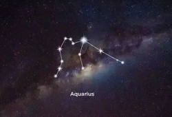 糖心视频: 最近的明星八卦大揭秘！