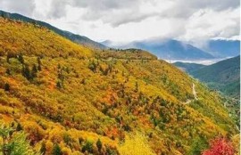 海角社区网站: 秋季旅游最佳去处推荐
