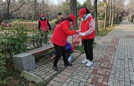 保持海角社区服务: 关注绿色环保活动新动态