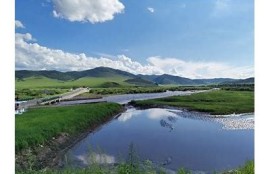 海角社区: 人工智能助力绿色发展新模式
