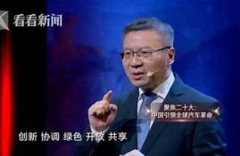 海角社区入口: 新能源汽车崛起的背后