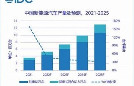 海角社区入口: 新能源车市场快速增长