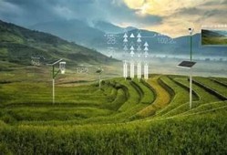 海角社区服务: AI技术助力乡村振兴新机遇