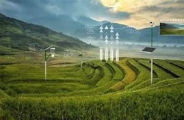 海角社区服务: AI技术助力乡村振兴新机遇
