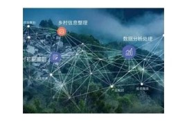 海角社区服务: 数字经济助力乡村振兴