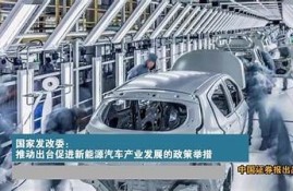 海角社区论坛: 新能源车政策解析与讨论