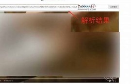 海角社区网站: 新能源汽车的未来与障碍