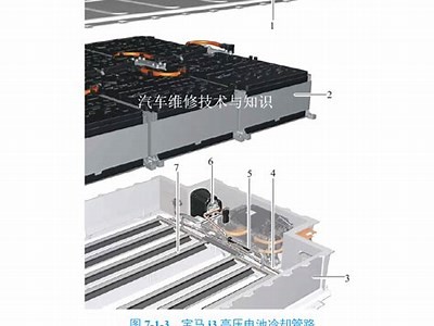 海角社区: 新能源汽车市场热潮来袭！